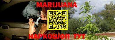 гашик Бузулук